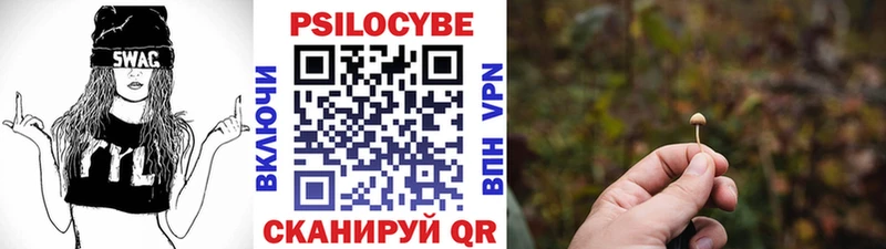 Галлюциногенные грибы MAGIC MUSHROOMS  darknet официальный сайт  Озёрск 